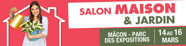 Affiche salon